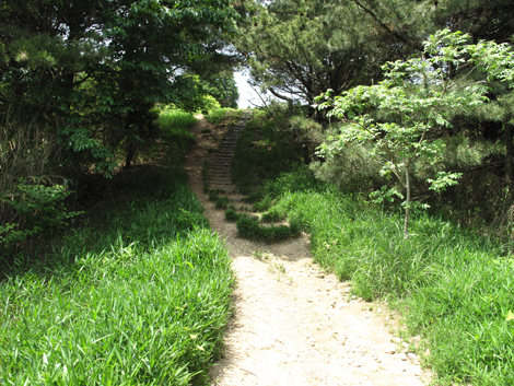 20140602hike (312)